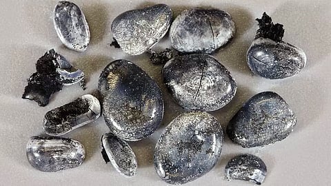 माशाच्या पाककृतीचा सापडला प्राचीन पुरावा