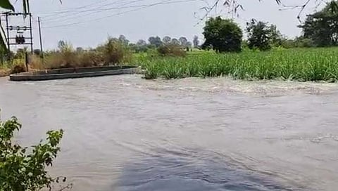 धोम डावा कालवा फुटला