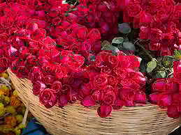 पिंपरी: ‘व्हॅलेंटाईन डे’साठी बाजारपेठेत गुलाबाचा दरवळ, डच गुलाबाला मिळतेय पसंती,