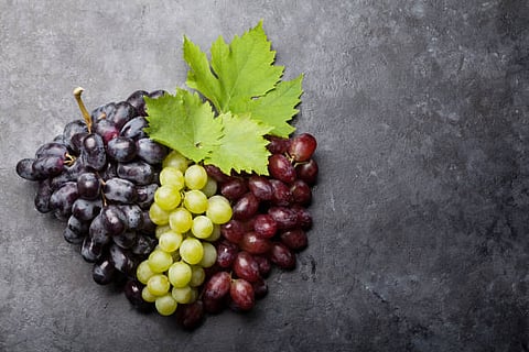 Colorful grapes on stone table. Top view flat lay