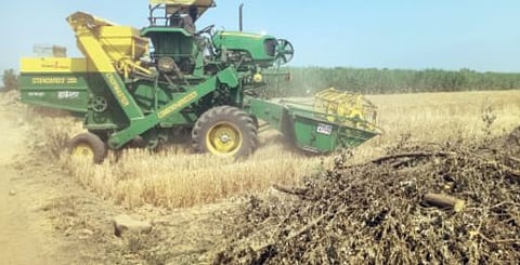 पुणे : हार्वेस्टरने गहू काढण्याकडे शेतकर्यांचा कल