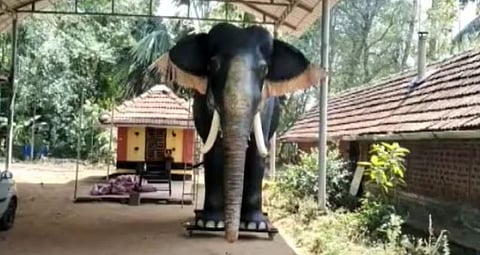 देशातील पहिला ‘रोबोटिक’ हत्ती पाहिलात का? जाणून घ्या या मागील कारण