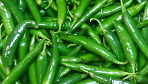 हिरवी मिरची