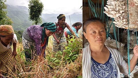 नागालँड विधानसभेसाठी आज मतदान, १८३ उमेदवारांपैकी केवळ चार महिला रिंगणात