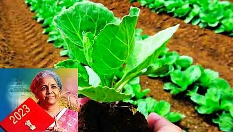 Budget 2023-24 Agriculture : सेंद्रीय शेतीसाठी PM प्रमाण योजना