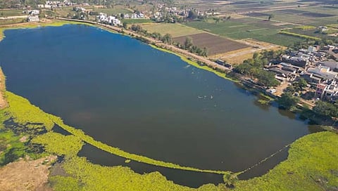 कोल्हापूर : वडणगे येथील तलावाने घेतला मोकळा श्वास