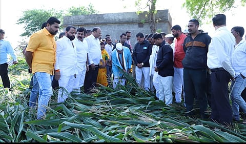 धुळे: 25 मार्चपूर्वी नुकसान भरपाईची घोषणा होणार – कृषिमंत्री अब्दुल सत्तार