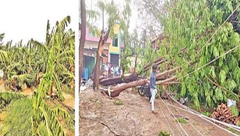 अवकाळी पावसाने आणले शेतकऱ्यांच्या डोळ्यात पाणी