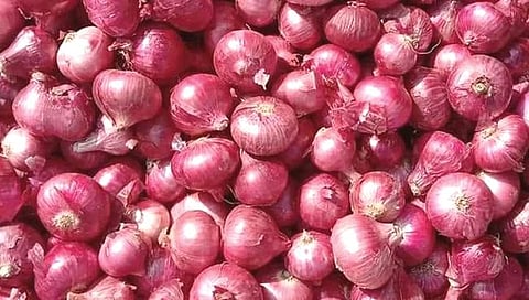 Onion News : ४० टक्के निर्यातशुल्क हटवले, एमइपी कायम राहणार