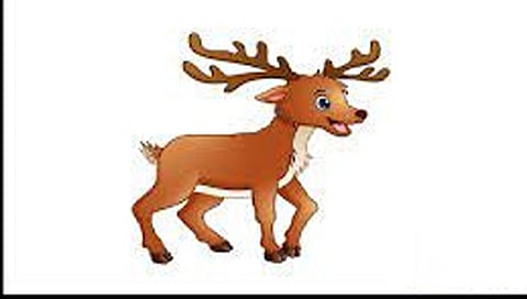 नाशिक : अज्ञात वाहनाच्या धडकेत काळविटाचा मृत्यू