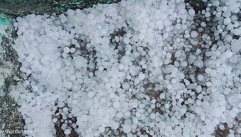 वर्धा जिल्ह्यात अवकाळी पाऊस, वादळासह गारपिटीचा तडाखा; ६१ मेंढ्यांचा मृत्यू