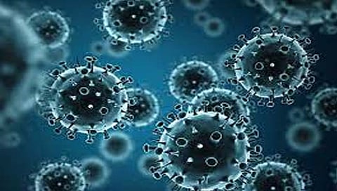 ठाण्यात ‘एच ३ एन २’ इन्फ्ल्युएंझाने घेतला पहिला बळी