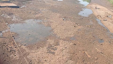 कोल्हापूर : दत्तवाड येथील दूधगंगा नदीचे पात्र पडले पुन्हा कोरडे; पाण्याचा प्रश्न बनला गंभीर..!
