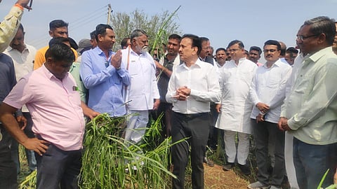 धुळे : अवकाळी पाऊस व गारपीटमुळे साक्री तालुक्यात झालेल्या नुकसानीची पाहणी करताना पालकमंत्री गिरीश महाजन यांच्याकडे आर्त हाकेने मदत मागताना नुकसानग्रस्त शेतकरी. (छाया: यशवंत हरणे)