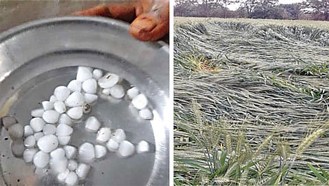 नाशिक : नगरसूलला रात्री गारपिटीचा फटका