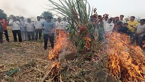 नगरसूल : कांद्याची होळी पेटविताना कांदा उत्पादक शेतकरी कृष्णा डोंगरे. (छाया : भाऊलाल कुडके)
