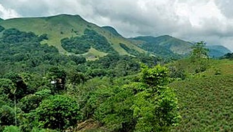 पर्यावरणपूरक प्रकल्पात स्थानिकांचा बळी