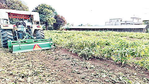 लोहोणेर : सावकी येथे वांगी पिकावर रोटर फिरवताना शेतकरी धनंजय बोरसे.
