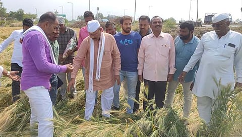 जालना: शेतकऱ्यांच्या बांधावर जाऊन नुकसानीचे पंचनामे करा: अब्दुल सत्तार