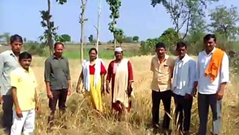 हिंगोली: औंढा नागनाथ तालुक्यातील २ हजार हेक्टरवरील पिकांना अवकाळीचा फटका