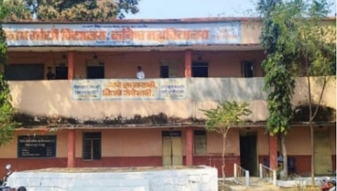 चंद्रपूर : बारावीच्या परीक्षा केंद्रावर मधमाशांचा हल्ला; चार जखमी; राजुरा तालुक्यातील घटना