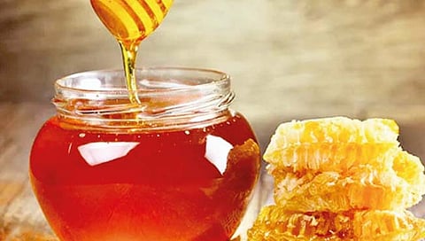 महाबळेश्वरचा सेंद्रिय मध खातोय ‘भाव’