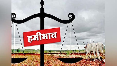 सांगली : रब्बी साधला; दर पडला