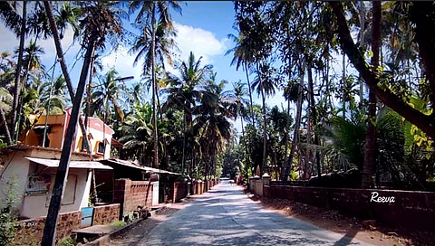 पावस मार्ग