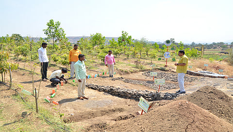 नाशिक : डोंगरावरील पाण्याचे व्यवस्थापन करण्यासाठी करण्यात आलेले चारी खोदकाम. (छाया: हेमंत घाेरपडे)