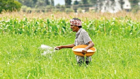 कोल्हापूर : जिल्ह्यात खतांचे लिंकिंग; शेतकर्यांची राजरोस लूट !