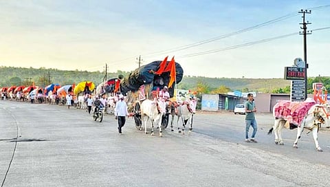 जोतिबा देवाचं याड लागलं बेळगावकरांना..!