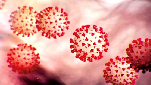 नाशिक : कोरोनाने घेतला जिल्ह्यातील ९ हजार बाधितांचा बळी