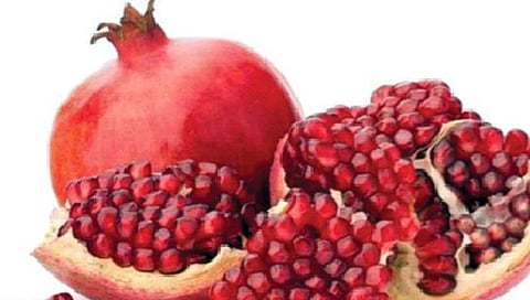 अॅनिमियावर डाळिंब ठरते गुणकारी