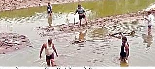 बेळगाव : दूषित पाण्यामुळे मार्कंडेयमधील माशांचा मृत्यू