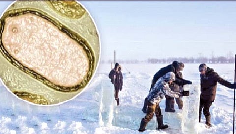 ‘झोम्बी’ विषाणू