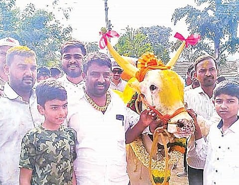 मंचर : बैलाला दिला हिंद केसरीचा मान