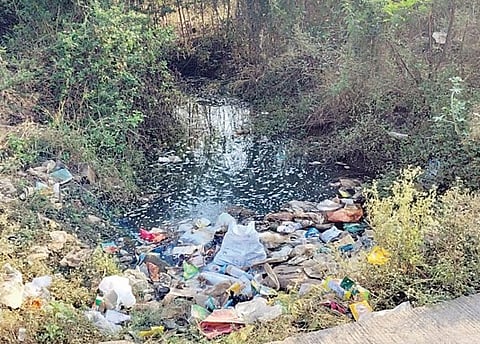 चासकमानच्या पोटचारी अतिक्रमणांच्या विळख्यात!