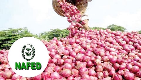 नाफेड, एनसीसीएफ करणार ५ लाख मेट्रिक टन कांदा खरेदी