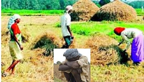 Farmer Problem : गेल्या तीन वर्षांत शेतकरी कुटुंबातील ७५०० महिला निराधार