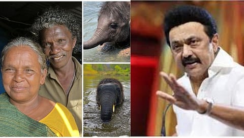 The Elephant Whisperers : ‘ऑस्कर इफेक्ट’! तमिळनाडूच्या मुख्यमंत्र्याची हत्ती संवर्धनासाठी मोठी घोषणा