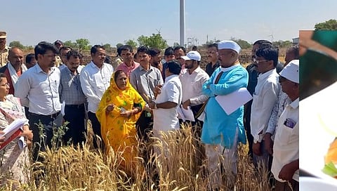 जळगाव : नुकसानीचे दोन दिवसात पंचनामे पूर्ण करुन अहवाल सादर करा; कृषीमंत्री अब्दुल सत्तार यांचे निर्देश