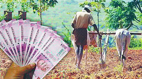 पुणे : जिल्ह्याला ‘पीएम किसान’मधून मिळणार 536 कोटी