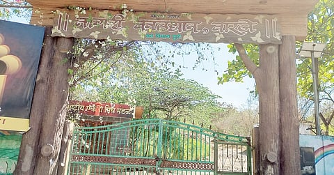 जागतिक वन दिन विशेष : शहरी वनीकरण कासवगतीने !