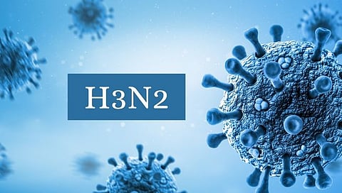 महाराष्ट्रात इन्फ्लूएंझा फ्लूमुळे आणखी तिघांचा मृत्यू? जानेवारीपासून आतापर्यंत ७ मृत्यू