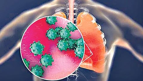 H3N2 विषाणूचा धोका वाढला, देशात ६ जणांचा मृत्यू, जाणून घ्या त्याची लक्षणे