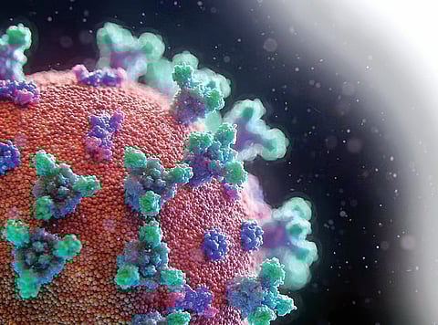 पिंपरी : एच 3 एन 2 आजाराच्या रुग्णांबाबत संदिग्धता