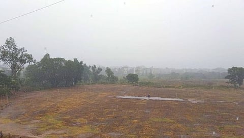 रायगड : रोहा तालुक्यात जोरदार पाऊस; आंबा, काजु बागायतदार हवालदिल