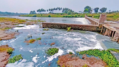 सांगली : जीवनवाहिनी कृष्णामाई ठरतेय जीवघेणी