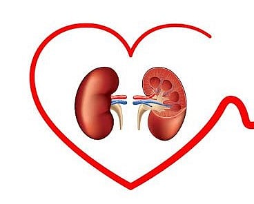 राज्यात 5700, पुणे विभागात 1500 रुग्ण किडनीच्या प्रतीक्षेत