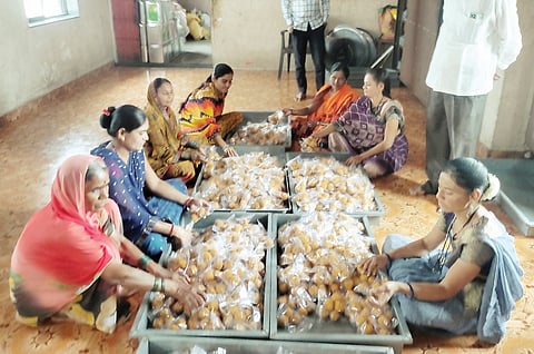 मढीत दहा टनांचा लाडू प्रसाद; भाविकांची वाढती गर्दी